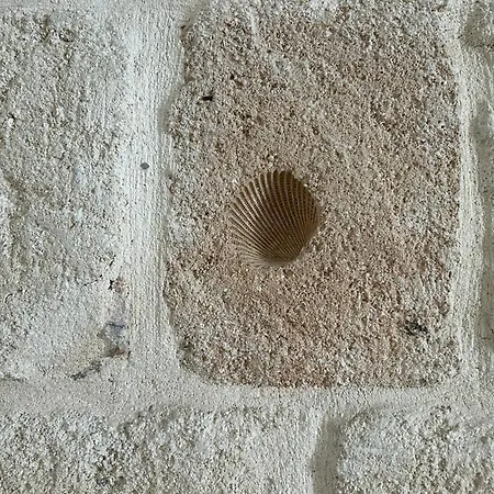 Lejlighed Casa Rosaria *